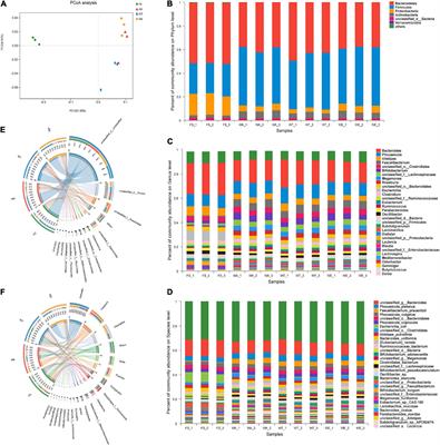 Wheat supplement with buckwheat affect gut microbiome composition and circulate short-chain fatty acids